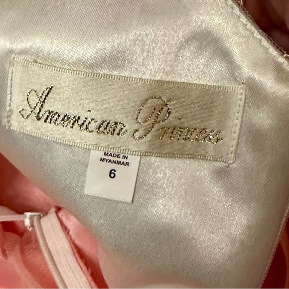 American Princess Pink Tulle Dress Sz 6 Floral Jacquard Jeweled Waist Fancy Gown - Picture 8 of 10